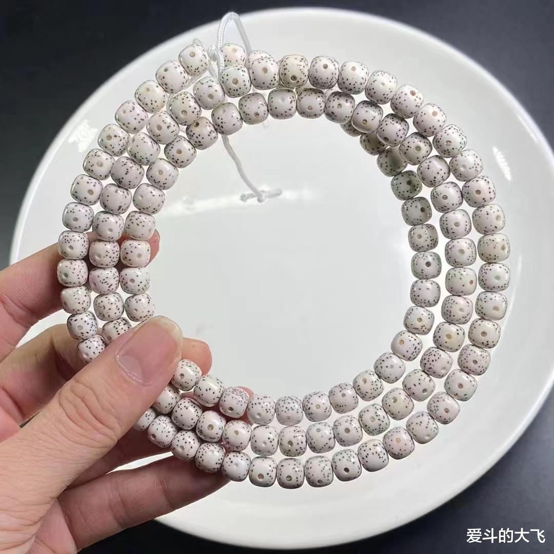 艺术品|玩星月菩提的朋友请进，文玩新人星月菩提解析