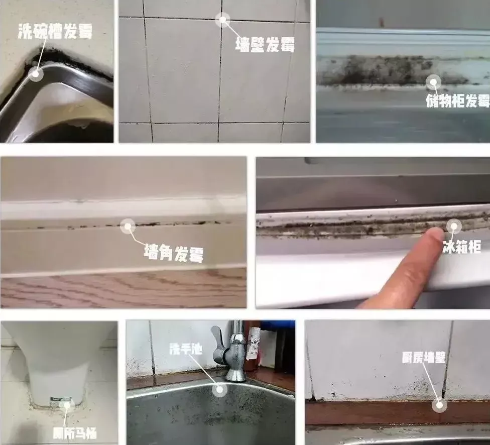 家居超人|马桶底座发霉，别傻傻换玻璃胶！现在流行这么做，干净又卫生