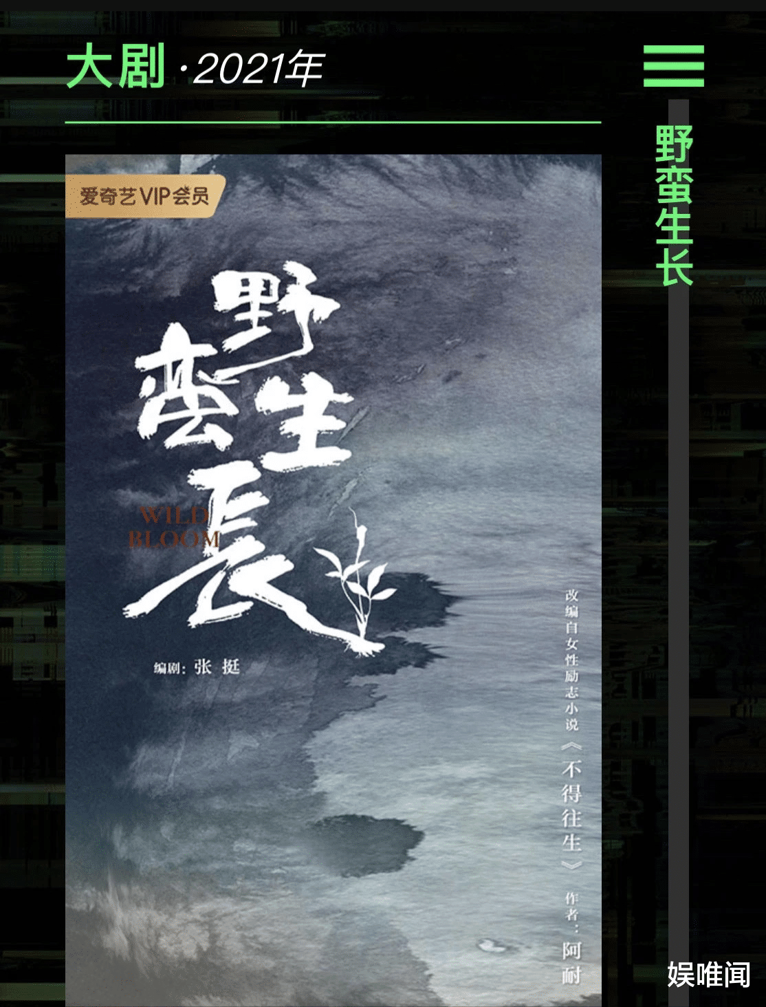 王一博|赵丽颖粉丝换头像骂工作室，拒绝与王一博二搭，尚未官宣就在吵架