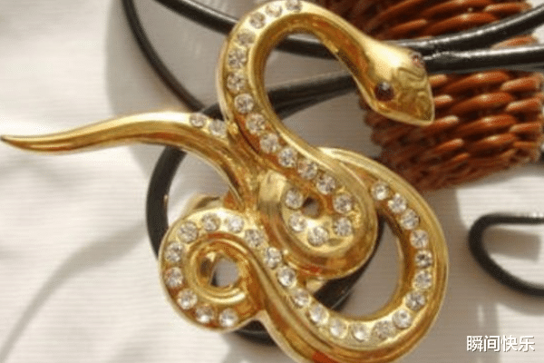 |7月29日-8月10日，属蛇、属鸡、属鼠运势攻略，乘风破浪，职场顺遂