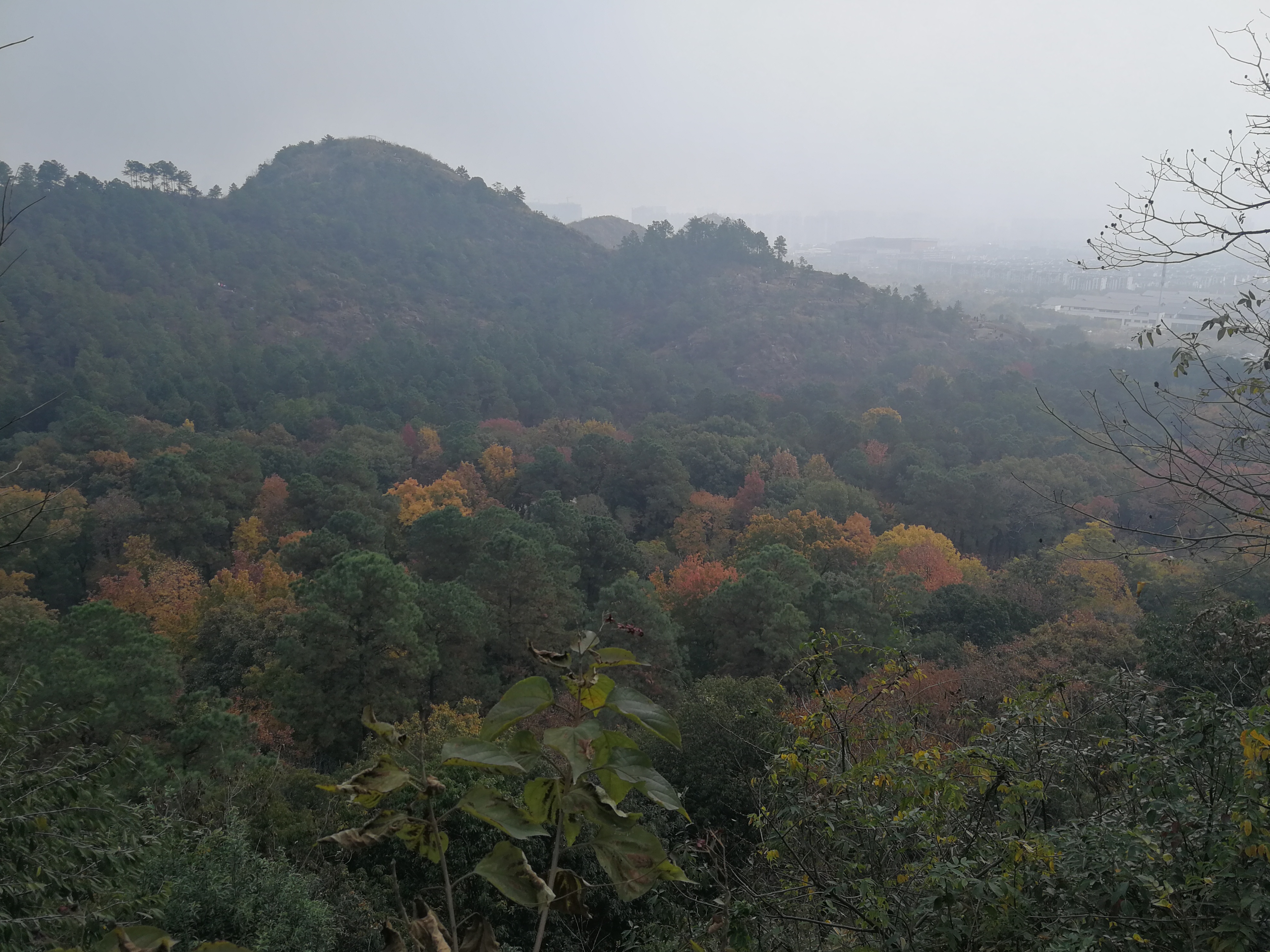 szfreeman 离开卓笔峰，山脚下上演着小哥哥姐姐们的cosplay