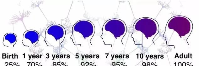 我是妈妈|哈佛研究：宝宝大脑发育，一生只有三个黄金期，父母千万别错过