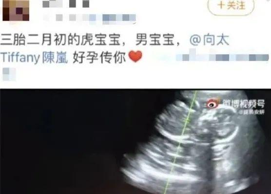 豪门|她是曾经的“姬圈天菜”，如今却沦为“豪门生育机器”？