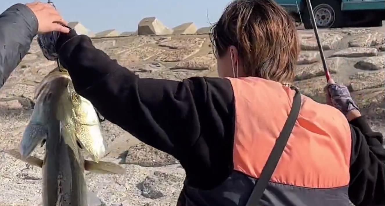 江苏省|新手大礼包?江苏新手钓友钓起罕见大鲈鱼,网友:完了,上瘾了