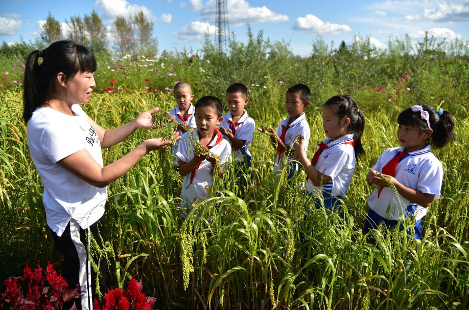 星座性格|寒暑假被取消,改为“8小时”工作制,众多老师却拍手叫好