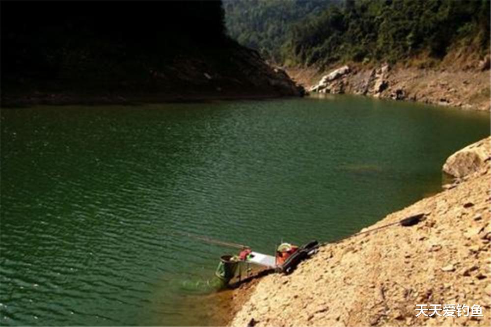 |数九寒天钓鱼，4钓4不钓，气候节气都在变，套路也要跟着变！