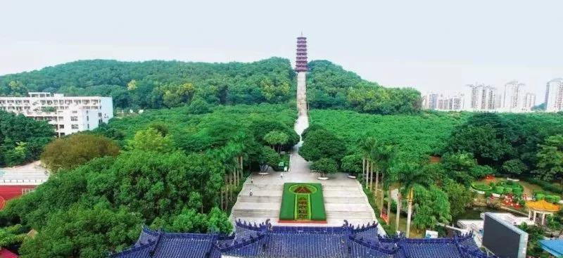 琳妹儿说|珠海小众森林公园,植被茂盛美不胜收,称小九寨沟,冷门却惊艳