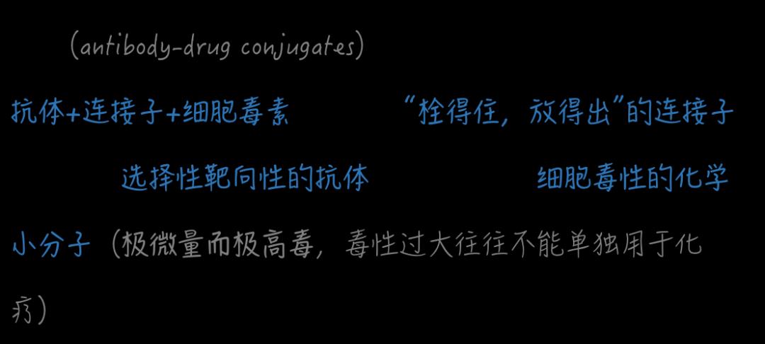 |轻松读懂ADC药物抗肿瘤作用机制