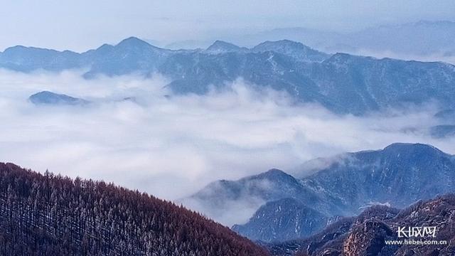 长城网 微视频｜方圆20里地守峰护林路，老戎一走就是12年