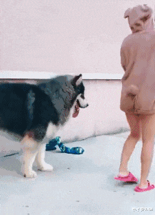  “穷到去合租，没想到居然匹配到了两个女生“