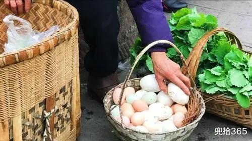 珠江|广东街头现30斤的珠江老鳖，要价2000元引众人围观，网友：养殖的