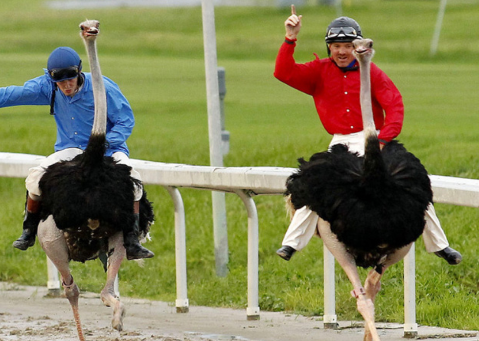 鸵鸟|江苏：男子私闯鱼塘钓鱼，被庞然大物攻击，没敢找塘主就跑了