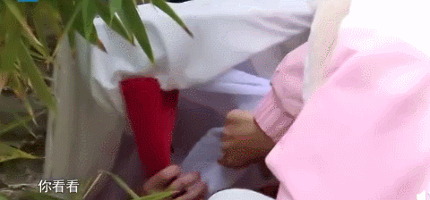 郭麒麟|郭麒麟公开撒糖：德云社少夫人，终于有了样子！