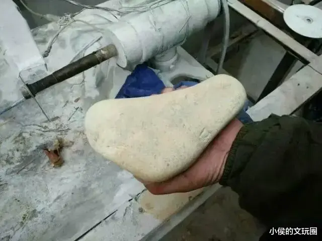 报国寺|明晃晃的大白肉,开出115万的高价,多少人抢着买!