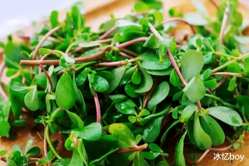 血栓|吃一口胜过8斤马齿苋,平时敞开吃,甲状腺会愈发“强壮”