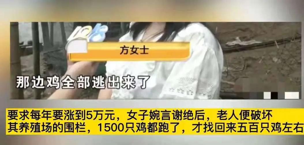 |7500涨到5万!女子开养殖场让房东眼红,涨租金不成放走1500只鸡