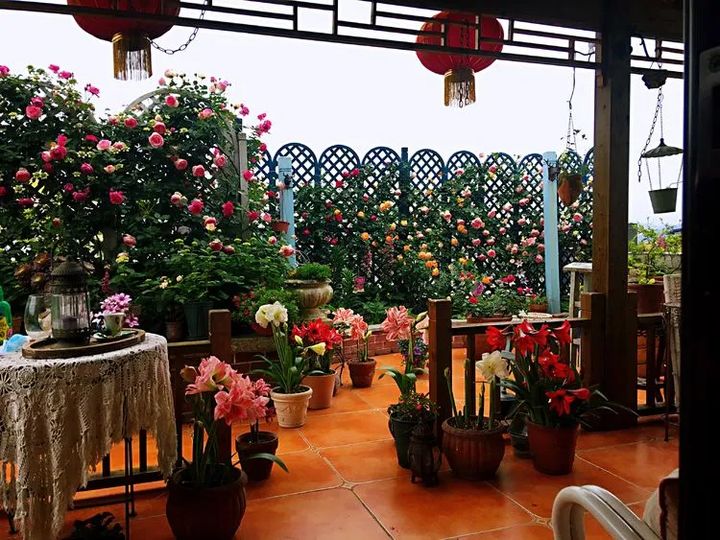 |4年前，买了8楼带240㎡露台的顶层房，如今成了全小区最美的屋顶