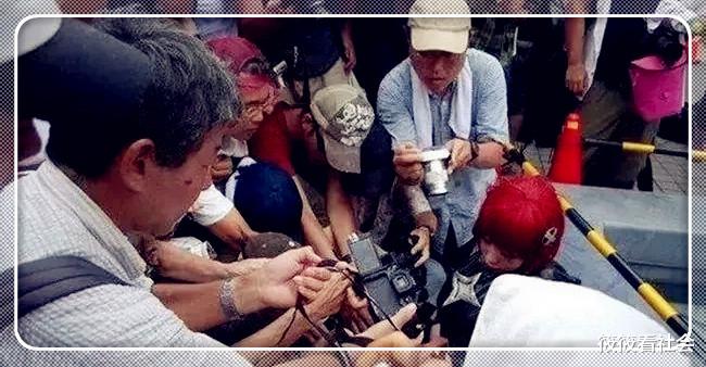 筱筱看社会 漫展撩上衣，真空上阵？乌烟瘴气的漫展究竟还打算办多久