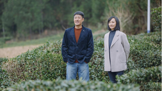 郑子诚|于震杨烁合作抗战剧，两大神剧男主同台，《郁郁葱葱》开播要火