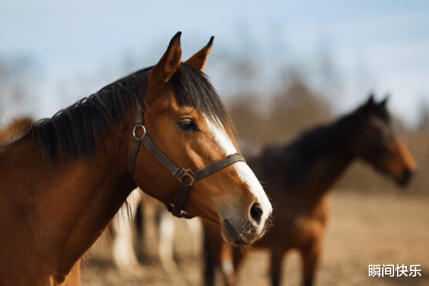 生肖|5月18-4月21日，苦尽甘来，3生肖财星高照，生活富贵连连