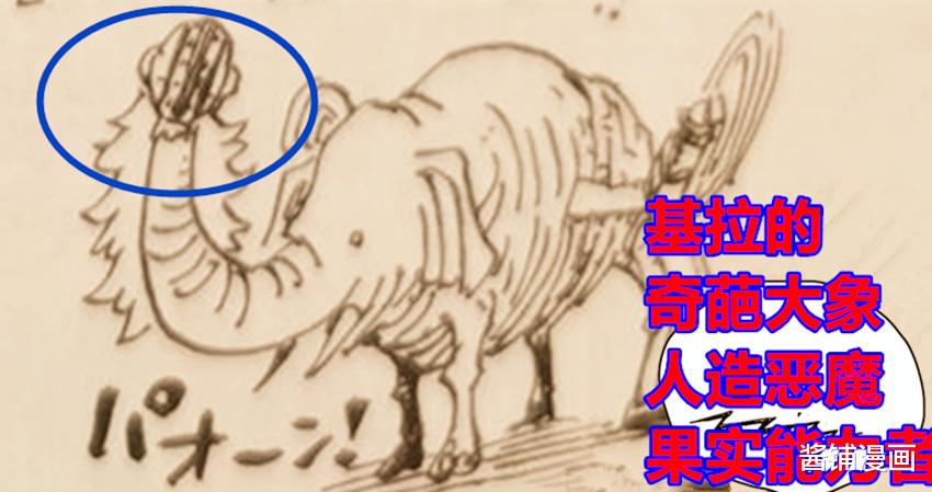 漫画|海贼王SBS，尾田调侃基拉获得SMILE的加成，变为怪异的大象能力者