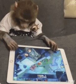 小叶娱记 据说懂这个的人都已经老了！而我曾见过证过它最辉煌的时刻！