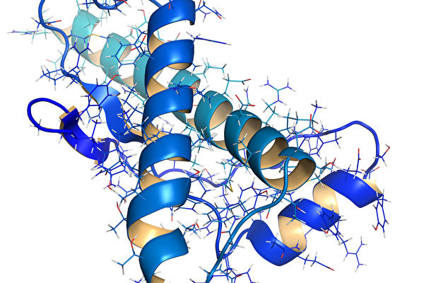 太空 最新研究表明：如果降低蛋白质出错，将有助延长寿命
