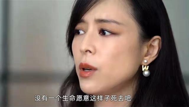 李小萌|张静初化身“圣母”倡导素食惨被骂，网友：人美智商低，害人不浅