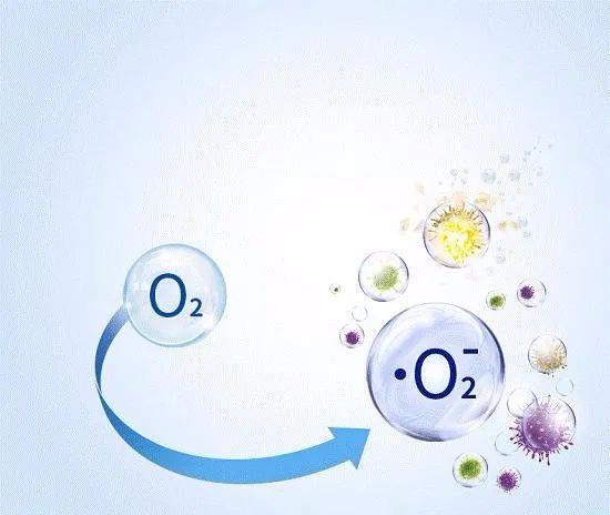 百草枯 喝下百草枯后，体内遭受的生化破坏机制会让人绝望