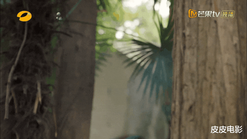 八零九零|收视率破3，全网热度第1，这部电视剧，凭什么能这么“火”？