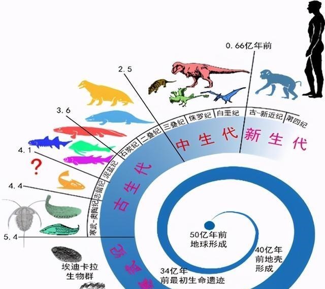 恐龙统治地球一亿七千万年,为什么没有进化成高等智慧生物?