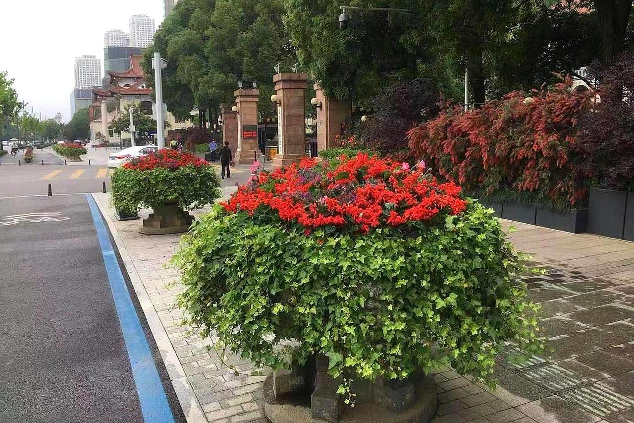 胡了說扒道 百花齊放迎五月，20余萬盆時令花卉，面積達(dá)3000多平方米