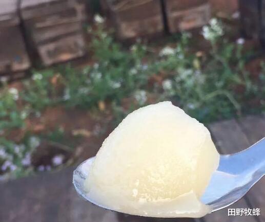 田野牧蜂|结晶蜂蜜有假的吗? 真蜂蜜结晶是什么样的?