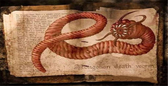 世界十大未解之谜之蒙古死亡之虫：是超出自然范围外的妖灵？