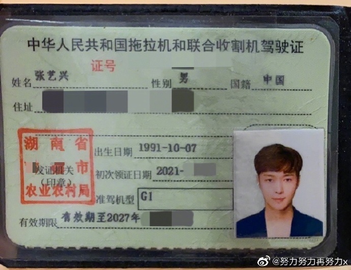 张艺兴|张艺兴做菜赠妈，蘑菇屋没白待，五道菜超有食欲