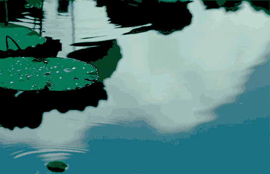 运动|小暑 | 排了毒又不伤元气的“出汗”法