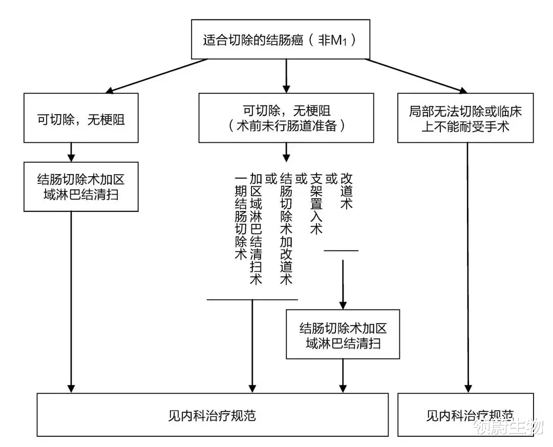 领蔚生物 最全结直肠癌诊疗流程图，只此一篇值得收藏！