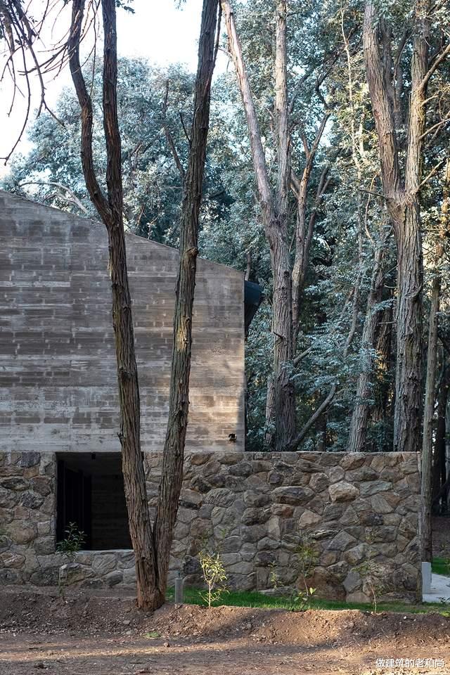 混凝土|顺应场地高差，面向湖景：这个住宅看起来旧旧的，内部却光影斑驳