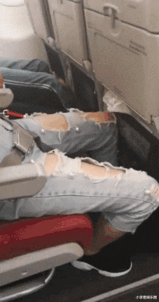 王思聪|神回复：如果你捡到王思聪的狗，怎么做到利益最大化？神评论绝了