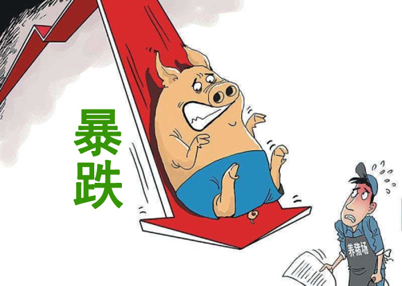 生猪价格 2月19日：大跳水！局地猪价惨跌1元，难道猪市“下跌潮”来袭？