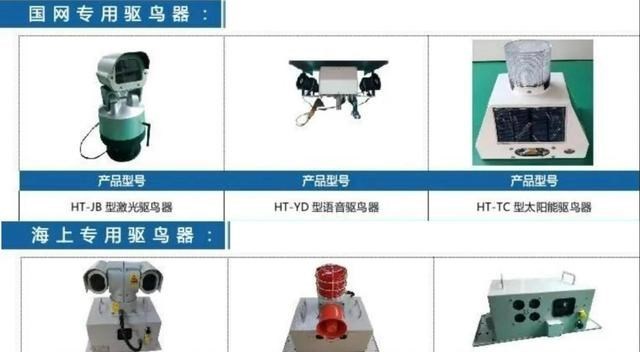 顶级“食肉动物”?风电机正消灭鸟类霸主?科学家称并非反对风能