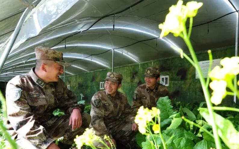  不可舍弃的种菜天赋，上太空、去海外都种菜？吃不完还能送巴铁