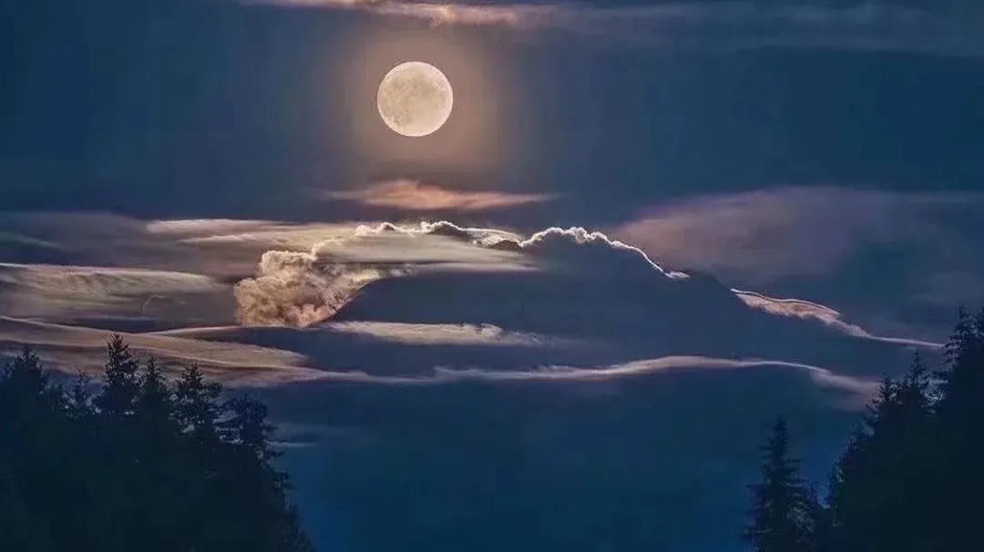 大卫星座|真正的对的人不是先来的人，而是来了以后没离开的人