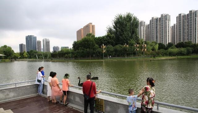 梵恩诗伊宁哥|财政部再提房地产税，释放的信号很清晰，专家提出征收建议