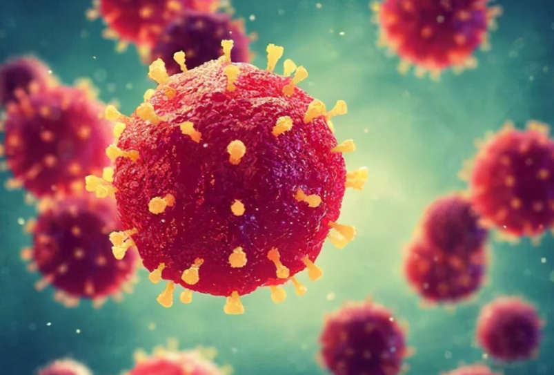 遗骸 北极永冻土现5.7万年前生物遗骸，尖牙清晰可见，人类应提高警惕