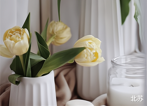 北苏|别等到晚年后,才明白,对婚姻不忠本身就是一种惩罚