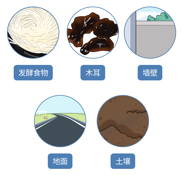 木耳|为了家人的安全,6种食物一定要没有毒再吃,别等去医院后悔