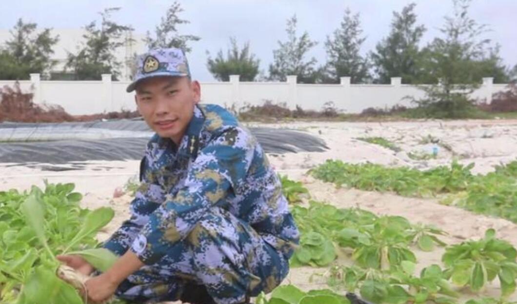  不可舍弃的种菜天赋，上太空、去海外都种菜？吃不完还能送巴铁