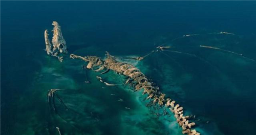 菜菜叶|探讨营口坠龙事件的真实性:对“坠龙”的尺寸等特征有详细记载