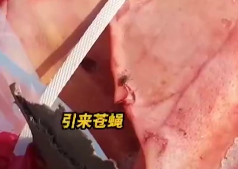 笑笑社会说 广东一河道出现不明冻肉，凑近看是国外来的，引网友推测